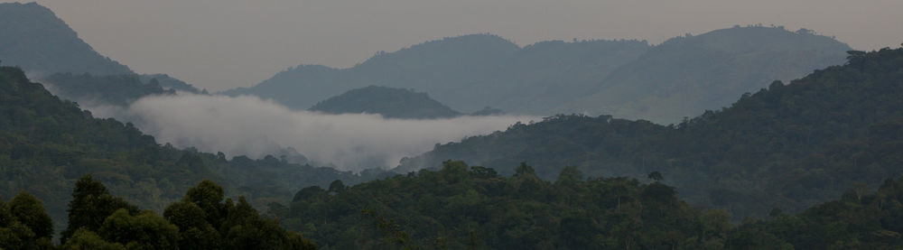 Silverback Lodge Buhoma Kültér fotó